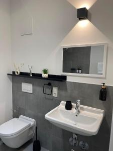 a bathroom with a sink and a toilet at Queens Peak Apartment in Cologne