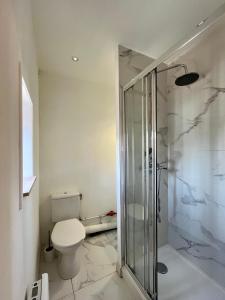 uma casa de banho com um WC e uma cabina de duche em vidro. em Le Fleuri em Lille