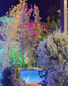 Giardino di Hotel and Restaurant "VILLA GIVISI"