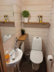 a bathroom with a toilet and a sink at Unelmasäleikkö 2 in Kittilä