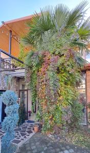 Giardino di Hotel and Restaurant "VILLA GIVISI"
