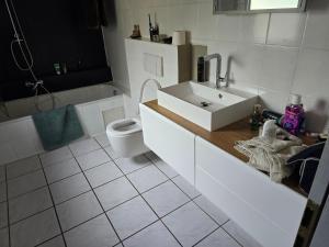 La salle de bains blanche est pourvue d'un lavabo et de toilettes. dans l'établissement Ferienwohnung Casa Karin, à Bodman-Ludwigshafen