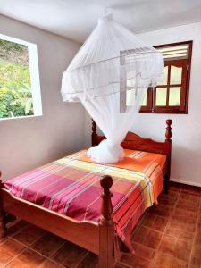 a bed with a canopy in a room at Maison de 3 chambres avec jardin amenage et wifi a Pointe Noire a 1 km de la plage in Pointe-Noire