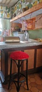 Marcols-les-Eaux的住宿－la maison de tante Jeanne，坐在厨房柜台上的红色座椅凳子