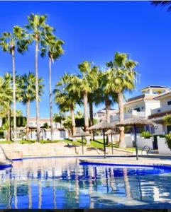 una piscina con palmeras y sombrillas en Prestigious Dona Pepa 2 Urbanisation with Shared Pool, en Ciudad Quesada