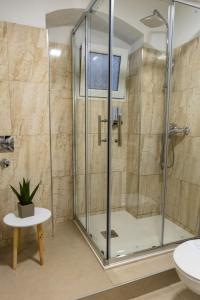 a shower stall in a bathroom with a toilet at Palace apartment in Split