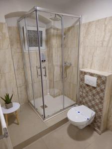 a bathroom with a shower and a toilet at Palace apartment in Split