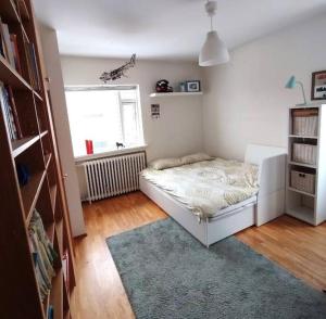 a small bedroom with a bed and a window at Bright 2 Bedroom Apartment in Reykjavik in Reykjavík