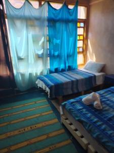 2 Betten in einem Zimmer mit einem Hund, der darauf liegt in der Unterkunft Guest house Amande in Tinghir