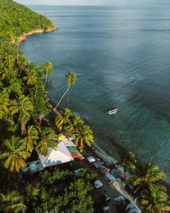 uma ilha com palmeiras e um barco na água em POSADA ALEENY em Providencia