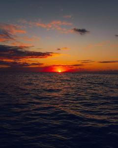 um pôr-do-sol sobre o oceano com o pôr-do-sol em POSADA ALEENY em Providencia