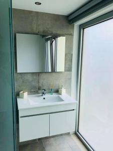 La salle de bains est pourvue d'un lavabo blanc et d'un miroir. dans l'établissement Coudelaria Residence, à Foz