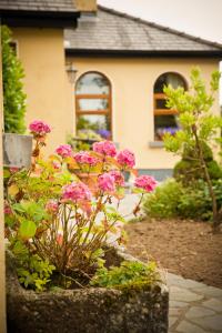 Zahrada ubytování Cahergal Farmhouse B&B