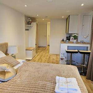 a large bedroom with two beds and a kitchen at One bedroom apartement with terrace and wifi at Lisse in Lisse