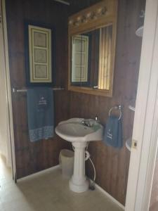 y baño con lavabo y espejo. en Clintwood Cottage, en Clintwood