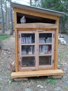 un pequeño armario de madera con puertas de cristal y libros en Chalet Hibou Domaine de la Mamounette, en Champclause