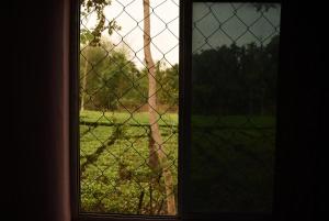 una ventana con vistas a un campo a través de una valla de cadena en Dooars Nest Resort Rahutbari, en Chālsa Mahābāri
