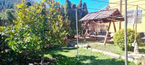 een tuin met een boom en een prieel bij Pensiunea Miana in Gîrcina de Jos