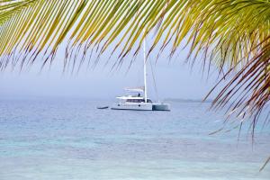 a boat floating in the water near a palm tree at "Marea" Sunreef 62 Catamaran with Crew all inclusive in Isla Wichitupo Grande