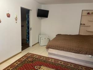 Schlafzimmer mit einem Bett, einem TV und einem Teppich in der Unterkunft Біля Ріки in Mischhirja