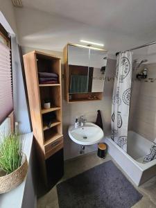 ein Bad mit einem Waschbecken und einer Dusche in der Unterkunft d' Aussicht nach LA in Deggendorf