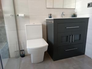 a bathroom with a toilet and a sink and a shower at Suite Poblamar in Pobla de Montornés
