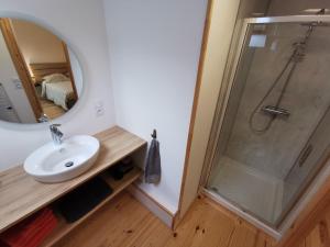uma casa de banho com um lavatório e um chuveiro em Appartement à Valognes : Entre Terre et Mer em Valognes