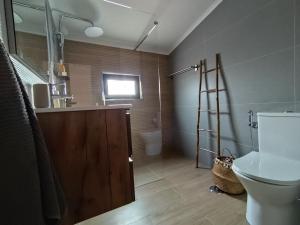 a bathroom with a toilet and a sink and a ladder at Vila Nova Guest House in Mértola +9 photos