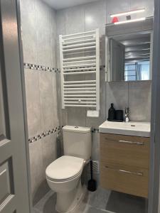 uma casa de banho com um WC, um lavatório e um espelho. em Oasis em Corbeil-Essonnes