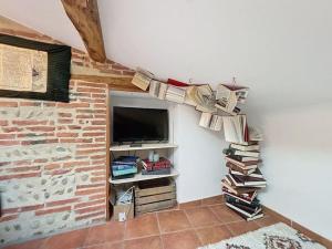 a room with a tv and books on a wall at Le sanctuaire des sorciers in Culmont