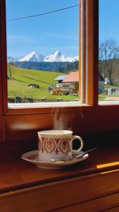 una taza de café sentada en un alféizar de la ventana con un plato en Chalupa Gita en Osturňa