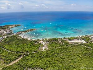 - une vue aérienne sur la plage et l'océan dans l'établissement Sueño caribeño, à La Laguna