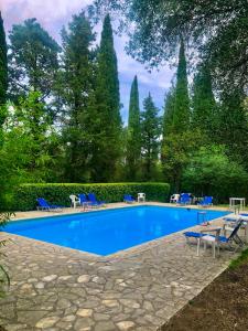 una piscina con sedie blu e alberi di Sea View Apartment in the Greek Nature a Gouviá