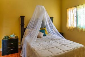 - une chambre avec un lit et une moustiquaire dans l'établissement Sojourner’s Vista del Lago, à San Nicolás de Ibarra