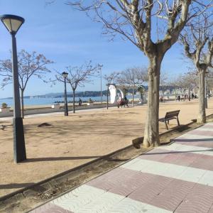 un parque con un banco y árboles en una playa en Refugio en el centro de Palamós, en Palamós