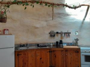 eine Küche mit Spüle und einem weißen Kühlschrank in der Unterkunft Terramadome, "O grande Dome CASA 2" in Penamacor