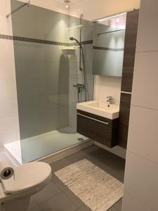 y baño con ducha, aseo y lavamanos. en Residentie beethoven en Knokke-Heist
