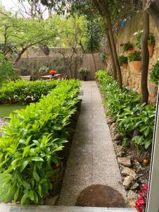 una pasarela en un jardín con plantas y árboles en PARADISE INN en Livorno