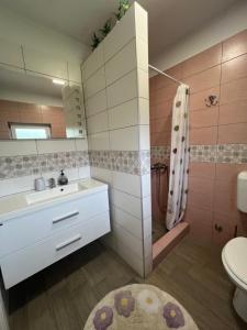a bathroom with a shower and a sink and a toilet at Apartments Jagodje in Izola +7 photos