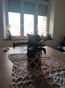 Fotografie z fotogalerie ubytování Chez Dori Chambre privée v destinaci Bischheim