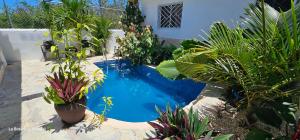 uma pequena piscina com plantas num quintal em Unique and quiet APARTMENTS La Botánica Tropical em Punta Cana