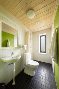 a bathroom with a sink and a toilet and a mirror at Pikla Linnumaja in Piirumi