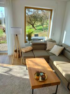 salon z kanapą i stolikiem kawowym w obiekcie Ferienwohnung Rote Leite w mieście Ebensfeld