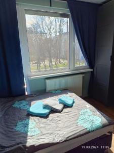 una cama con almohadas azules frente a una ventana en Apartament Magnolia en Varsovia