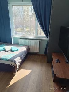 華沙的住宿－Apartament Magnolia，一间卧室设有一张床和一个大窗户