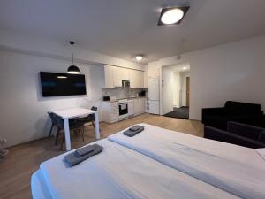 1 dormitorio con 1 cama y sala de estar en Saunallinen keskustayksiö ja ilmainen yksityinen parkkipaikka en Turku