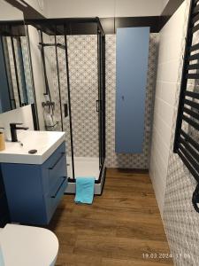 華沙的住宿－Apartament Magnolia，带淋浴、盥洗盆和卫生间的浴室