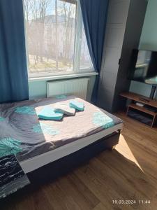 華沙的住宿－Apartament Magnolia，一张床上的房间,上面有蓝色的枕头