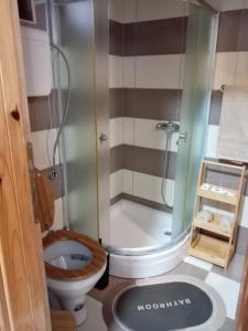 a bathroom with a toilet and a shower at Simic Apartmani Tara in Kaludjerske Bare