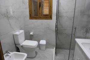 a bathroom with a toilet and a shower and a sink at Vila Malasi in Berat